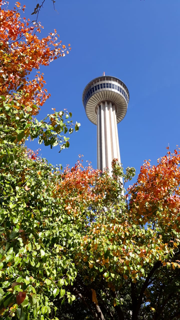 The Tower of the Americas rising above HemisFair Park